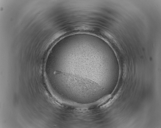 X0000088031017200705182020