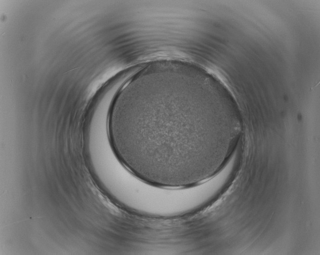 X0000088031018200705182020