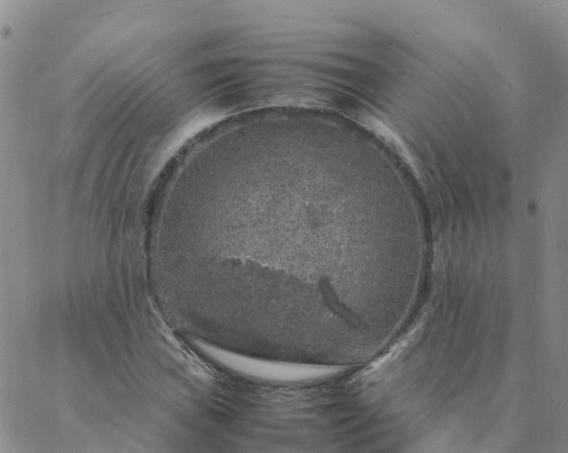 X0000088031019200705182020