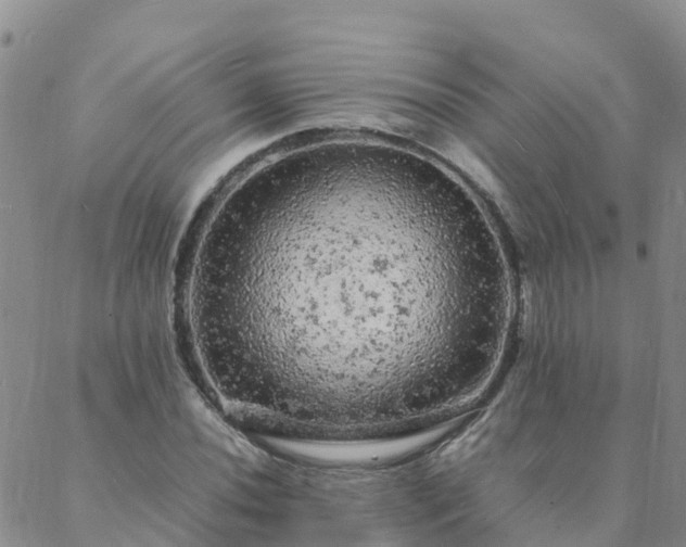 X0000088031020200705182020