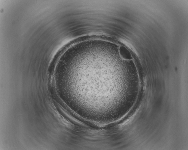 X0000088031021200705182020