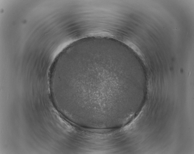 X0000088031022200705182020