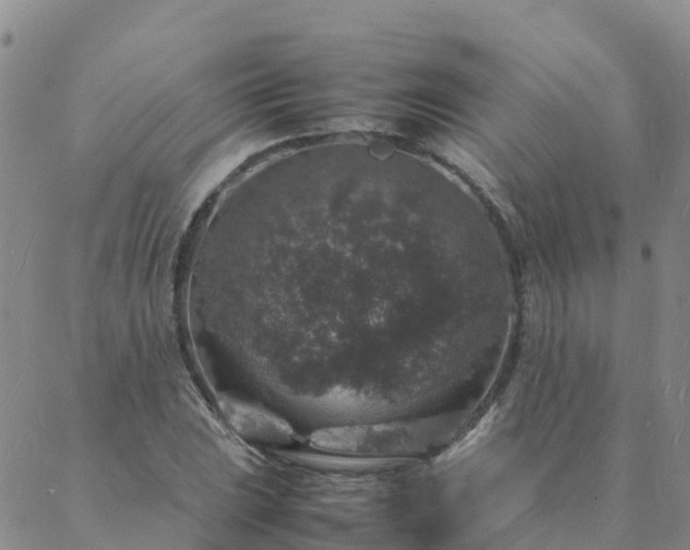 X0000088031023200705182020