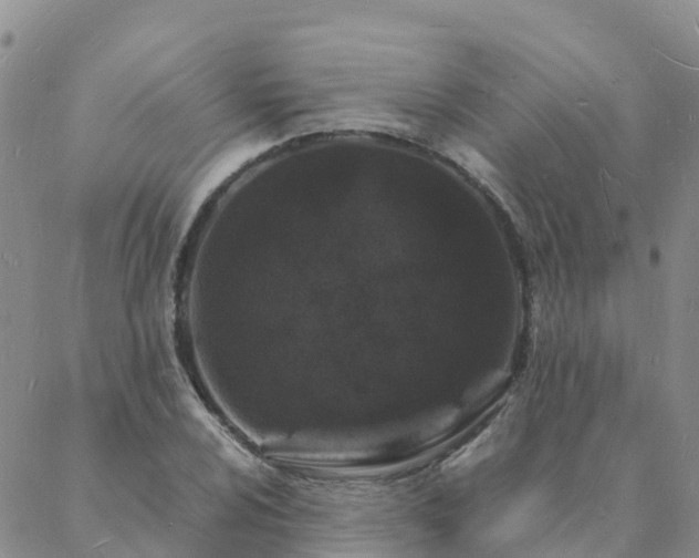 X0000088031024200705182020