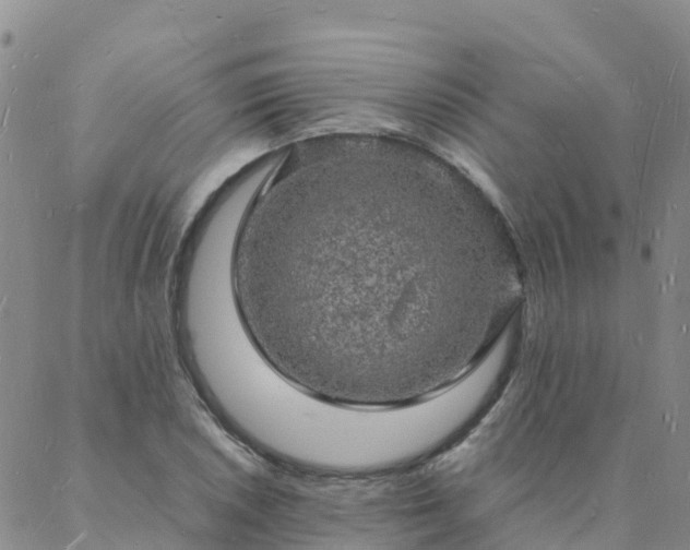 X0000088031026200705182020