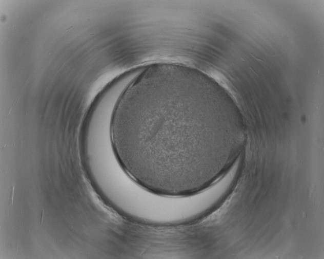 X0000088031030200705182020