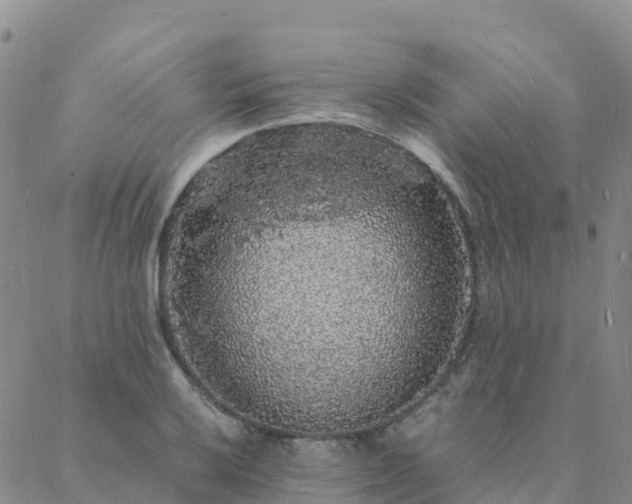 X0000088031032200705182020