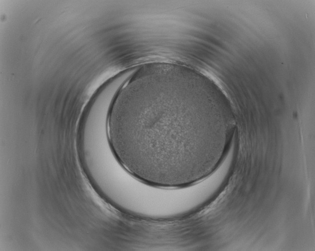 X0000088031034200705182020