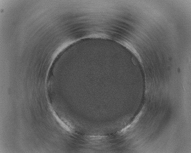 X0000088031037200705182020