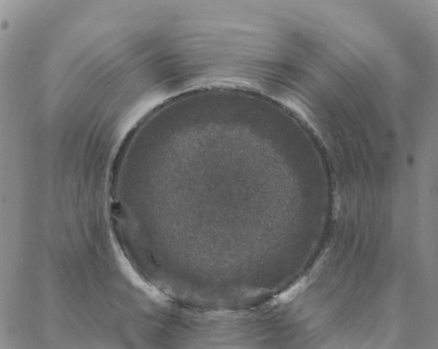 X0000088031038200705182020