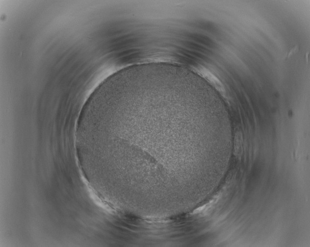 X0000088031039200705182020