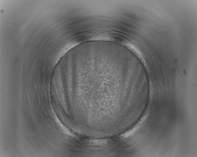 X0000088031041200705182020