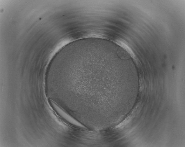 X0000088031043200705182020