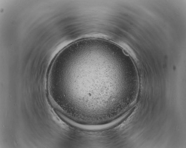 X0000088031044200705182020