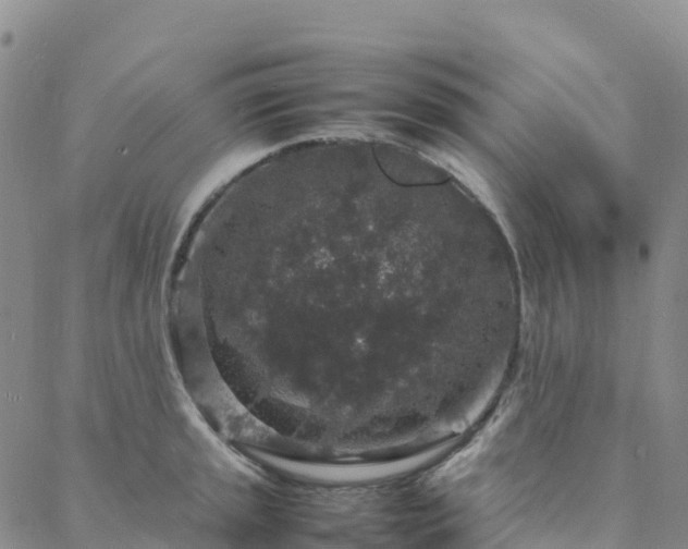 X0000088031045200705182020