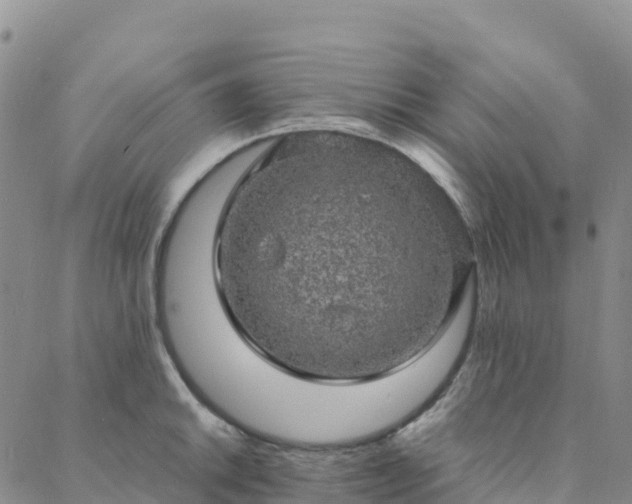 X0000088031046200705182020