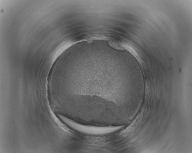 X0000088031047200705182020