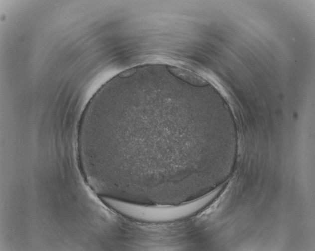 X0000088031048200705182020