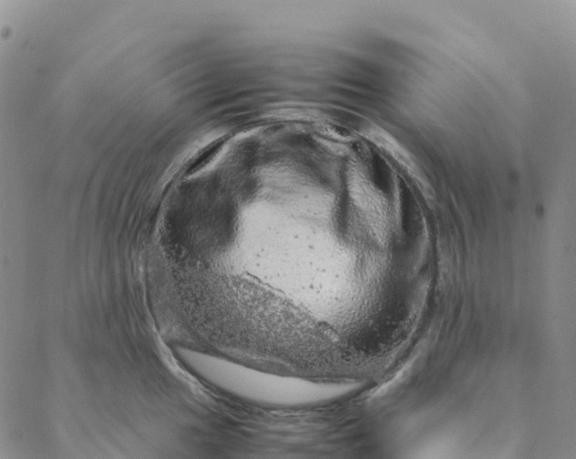 X0000088031049200705182020