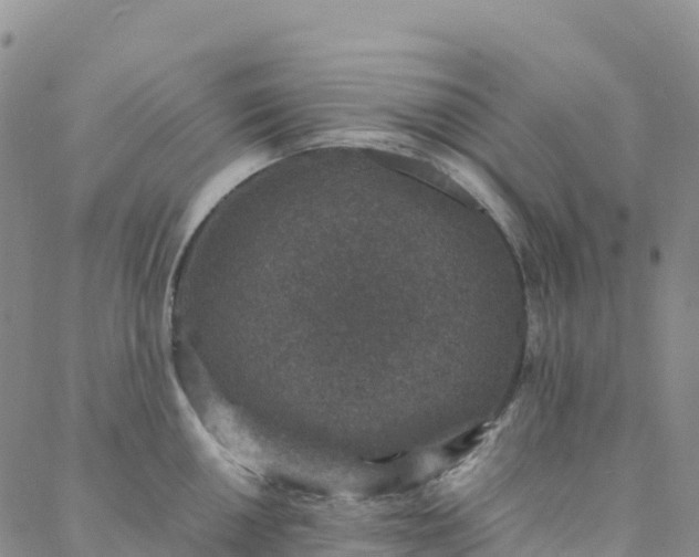 X0000088031050200705182020