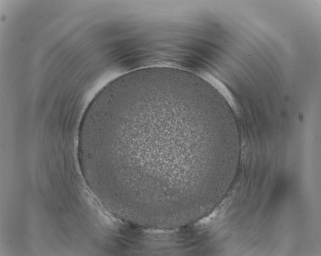 X0000088031051200705182020