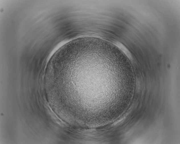 X0000088031052200705182020