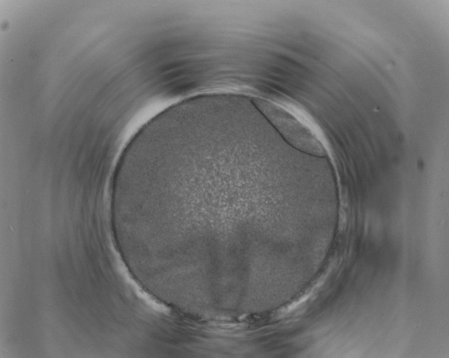 X0000088031053200705182020