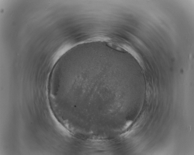 X0000088031055200705182021