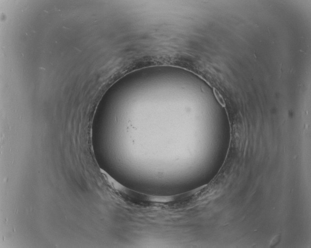 X0000088031057200705182020