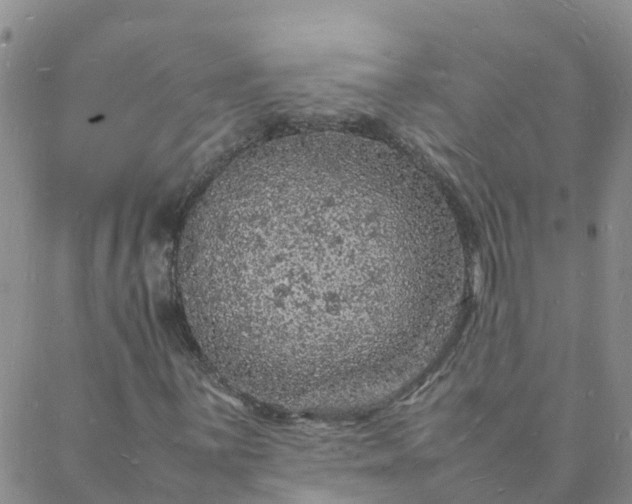 X0000088031059200705182020