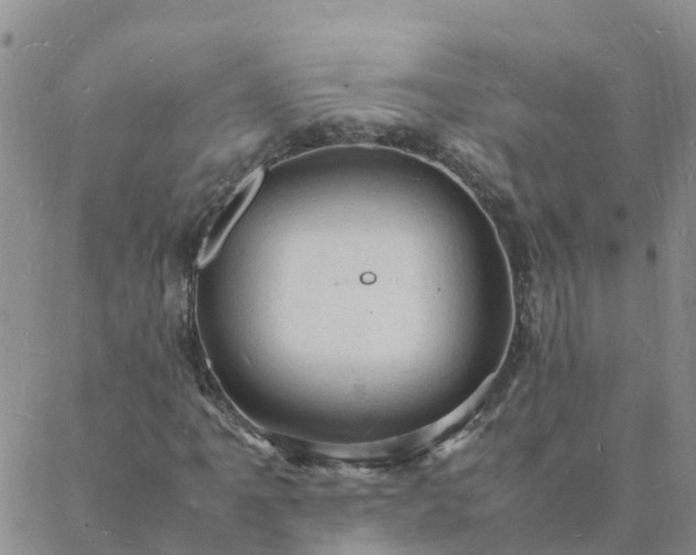 X0000088031061200705182020