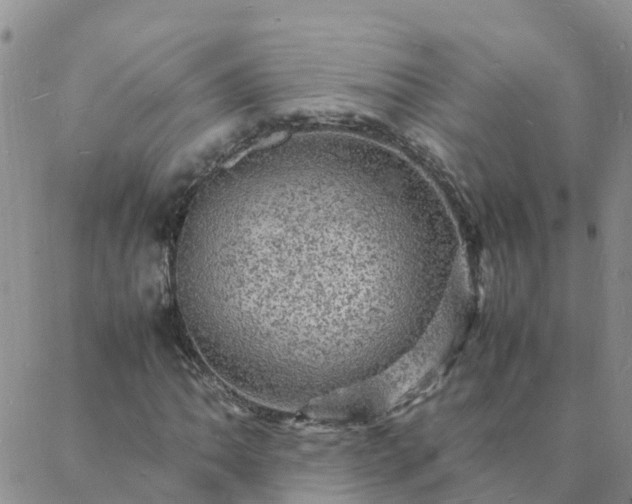 X0000088031062200705182020