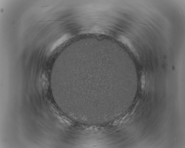 X0000088031064200705182020