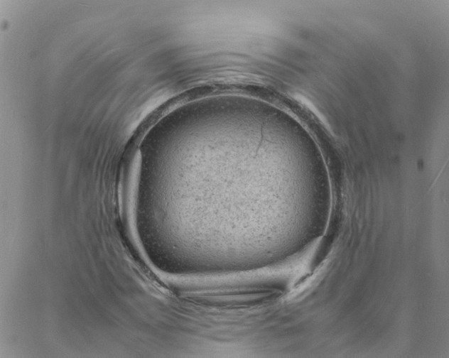 X0000088031065200705182020