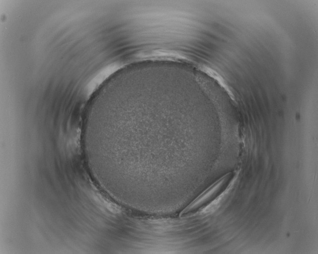 X0000088031066200705182020