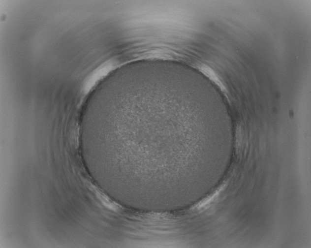 X0000088031067200705182020