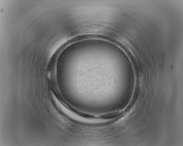 X0000088031069200705182020