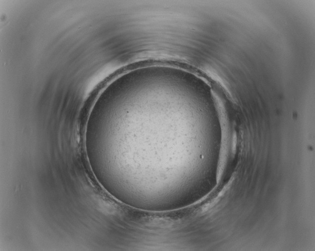 X0000088031070200705182020