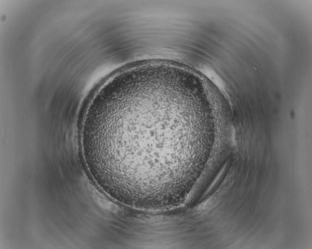 X0000088031072200705182020