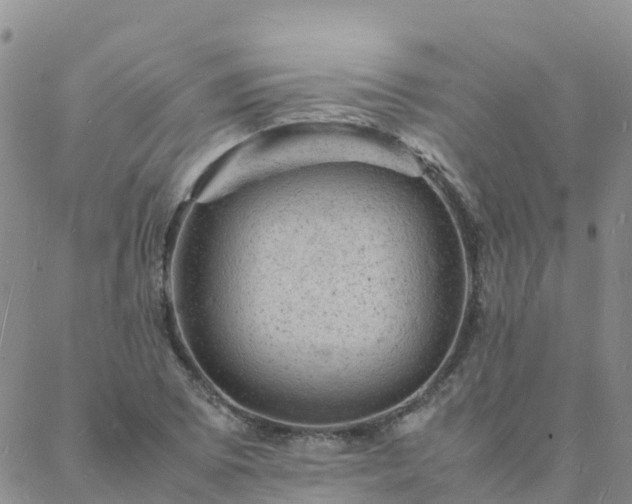 X0000088031073200705182019