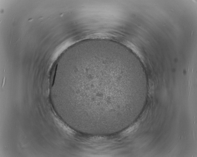 X0000088031075200705182019