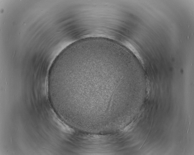 X0000088031076200705182019