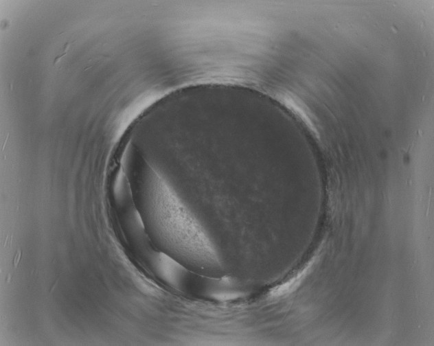 X0000088031077200705182019