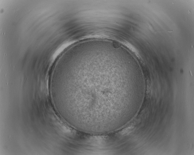 X0000088031078200705182019