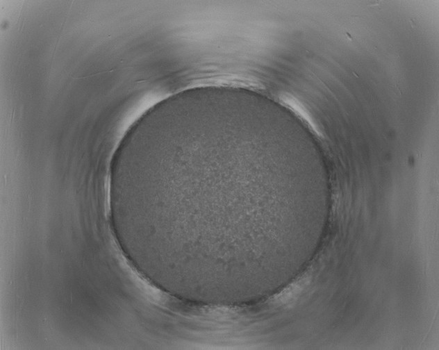 X0000088031079200705182019