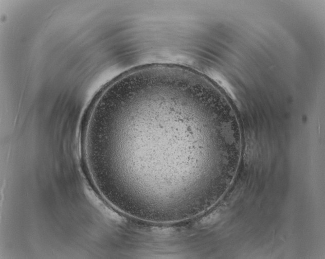 X0000088031080200705182019