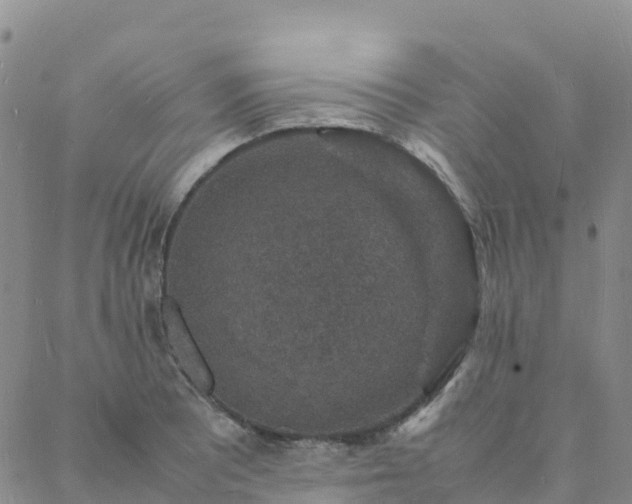 X0000088031081200705182019