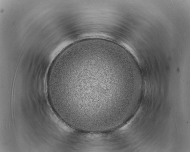 X0000088031082200705182019