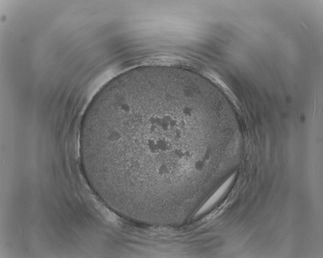 X0000088031083200705182019