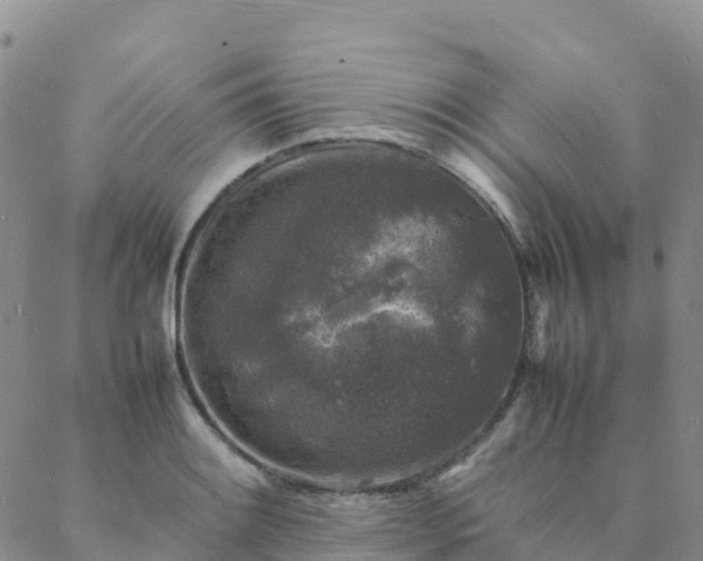 X0000088031084200705182019